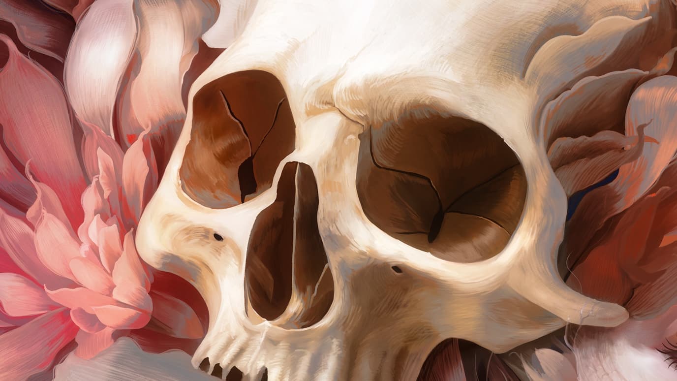 Una calavera humana entre suaves pétalos rosados, con grietas que recorren el hueso, en uno de los bodegones anatómicos de Elola